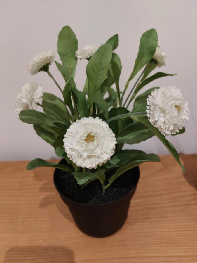 Cosy North Kensington Family Apartment For 4 Persons - Children Stay Free London Bilik gambar